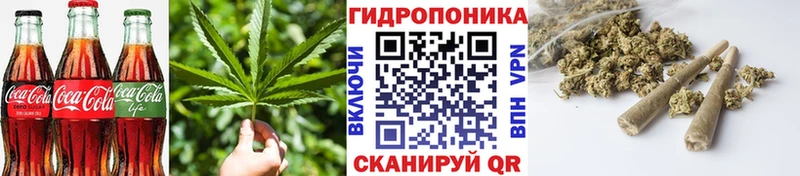 кракен рабочий сайт  Алапаевск  маркетплейс какой сайт  Canna-Cookies марихуана 