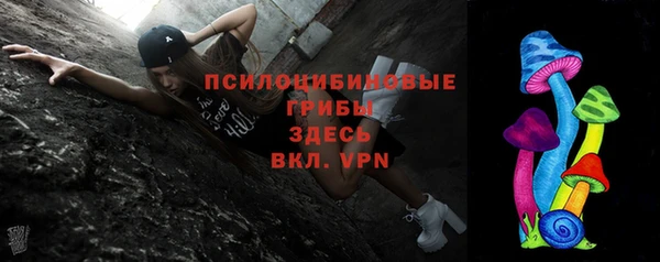 эйфоретик Осинники