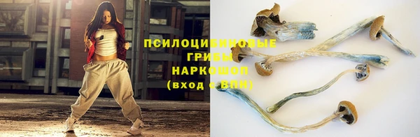 эйфоретик Осинники