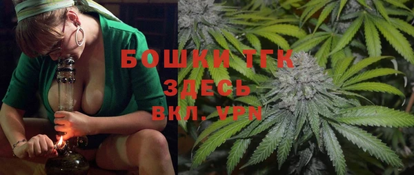 гидра Болохово