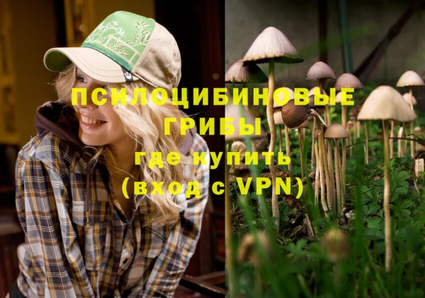эйфоретик Осинники