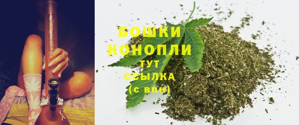 ПСИЛОЦИБИНОВЫЕ ГРИБЫ Болотное