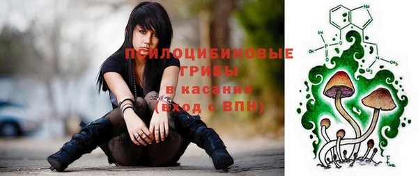 ПСИЛОЦИБИНОВЫЕ ГРИБЫ Болотное