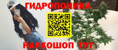 мдпв Дубна