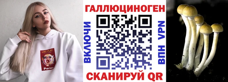 как найти закладки Алапаевск Псилоцибиновые грибы Psilocybine cubensis