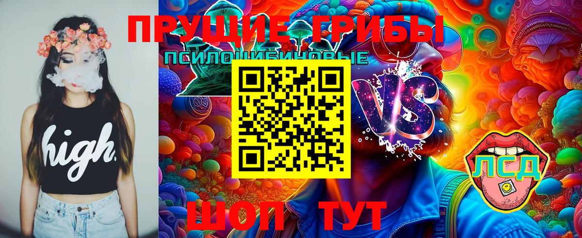 Псилоцибиновые грибы Cubensis  Алапаевск 