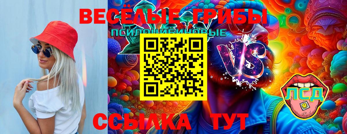 Псилоцибиновые грибы Psilocybe Алапаевск