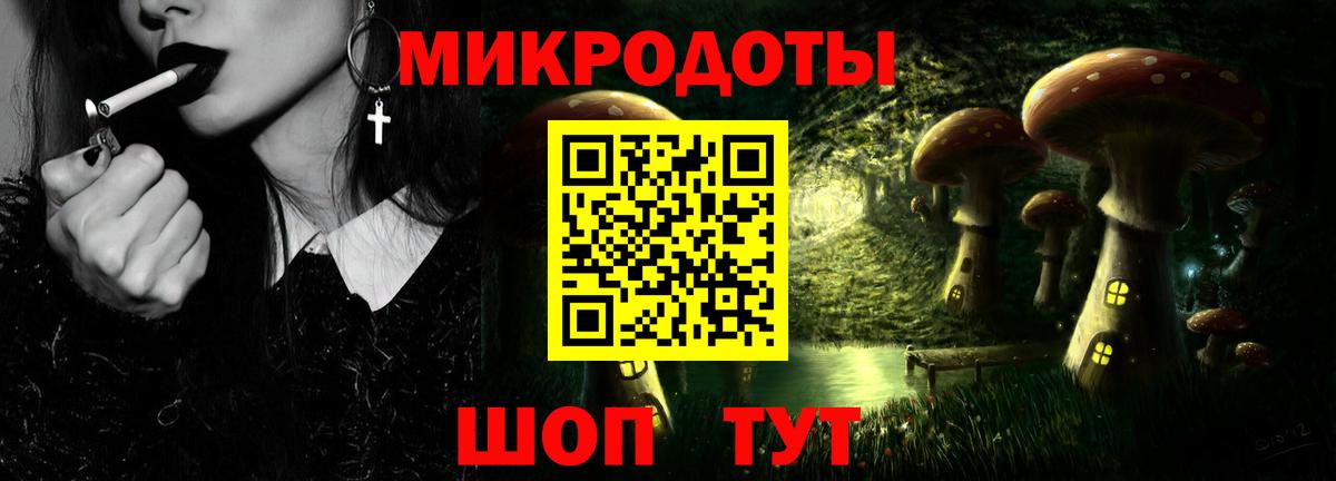 Псилоцибиновые грибы Psilocybe Алапаевск